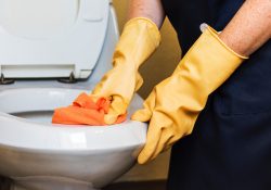 Professionel rengøring til private fra etableret rengøringsfirma